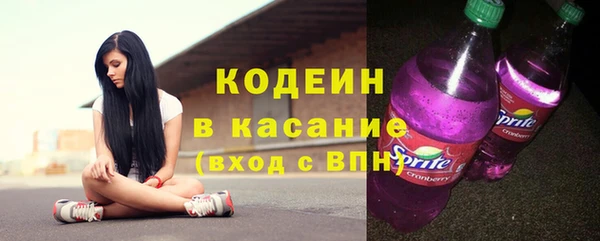 ГАЛЛЮЦИНОГЕННЫЕ ГРИБЫ Вяземский