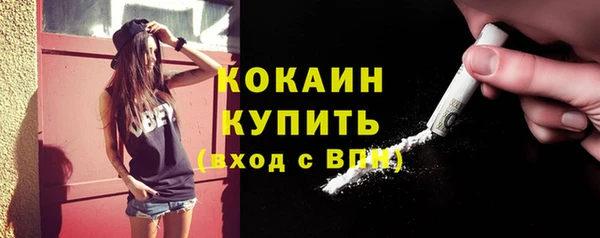 мдпв Горнозаводск