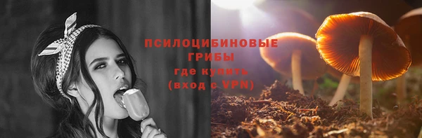ГАЛЛЮЦИНОГЕННЫЕ ГРИБЫ Вяземский