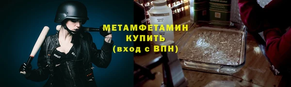 ГАЛЛЮЦИНОГЕННЫЕ ГРИБЫ Вяземский