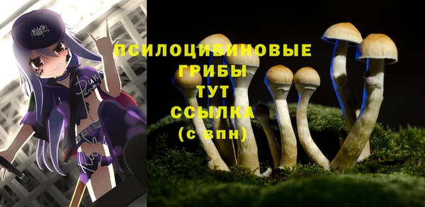 мдпв Вязники